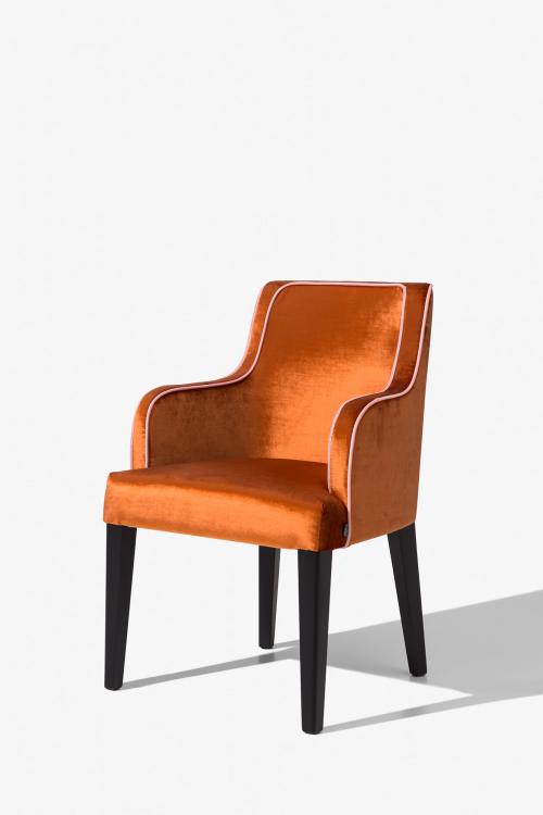 Isabey Chair with Arms - Home Collection