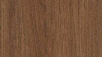 Acorn N0002