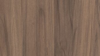Ash Oak N0003
