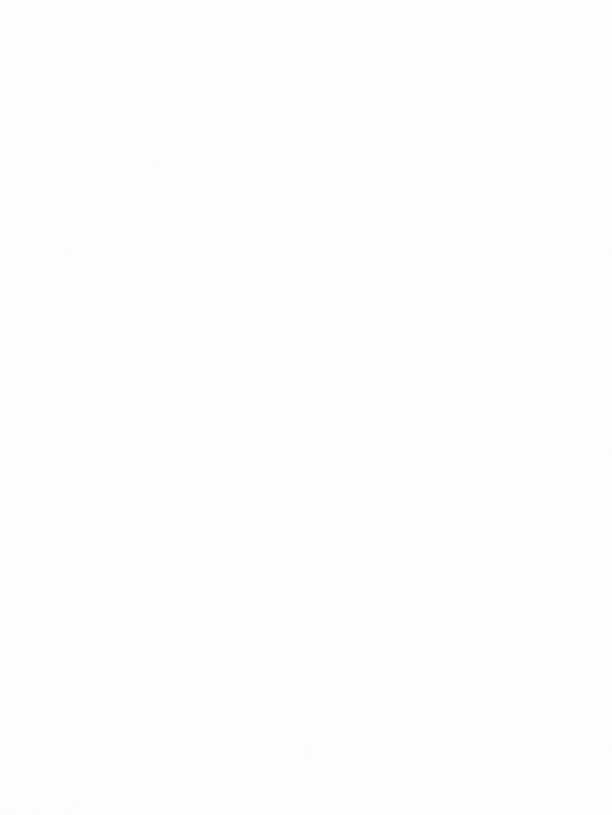 N0005 Pure White