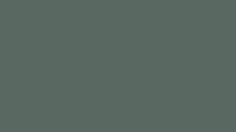 Green VL/VS0080