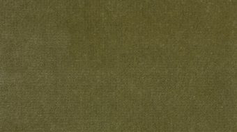 T127D