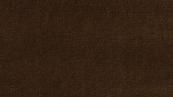 T129D