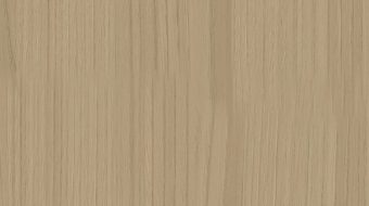 White Chestnut E0022