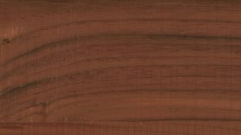 Carved Walnut E0020