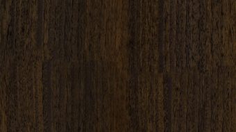 Eucalyptus E0028