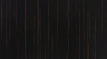 Ammara Ebony EP001