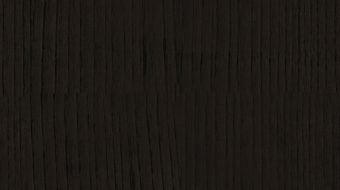 Black Chestnut E0025
