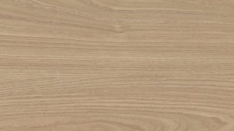 Light Oak N0012