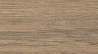 Silver Walnut N0016